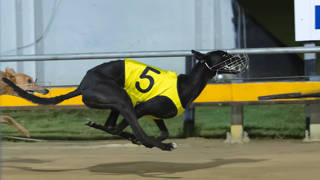 Chaffey looking to again dominate Townsville